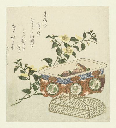 Kerria Japonica