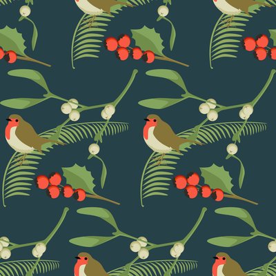 Noel Robin by Claire Huntley