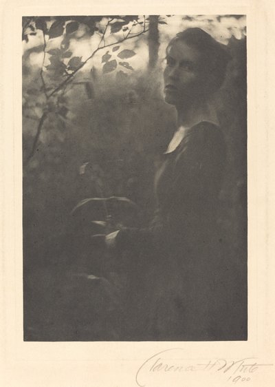 Ormanın Kenarı, Akşam by Clarence H. White