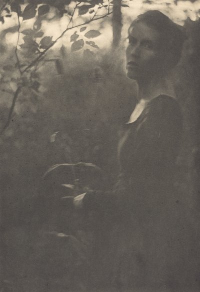 Ormanın Kenarı, Akşam, 1900. by Clarence H White
