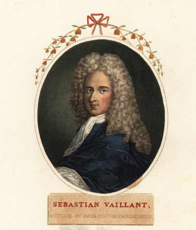 Fransız botanikçi Sebastian Vaillant