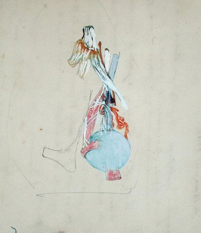Bir kedinin kafasındaki sinir sistemi, 25 Mayıs 1842 (kağıt üzerine kalem ve suluboya) by Claude Bernard