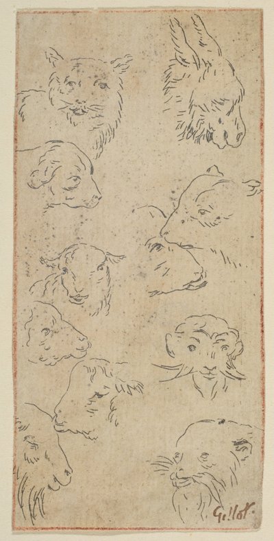 Hayvan kafalarının incelenmesi.n.d. by Claude Gillot