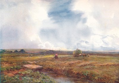 Hayfield, 1872-1906, 1906. by Claude Hayes