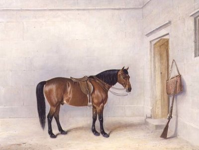 Eyerli Körfez Atış Midillisi by Claude L. Ferneley