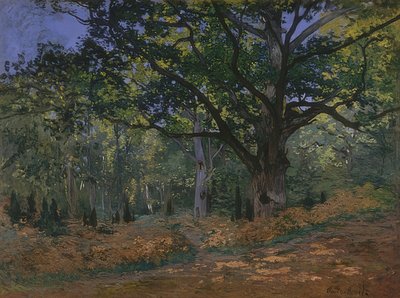 Fontainebleau ormanında bodmer meşesi. 1865 by Claude Monet
