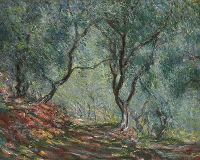 Moreno bahçesindeki zeytinlik, 1884 by Claude Monet