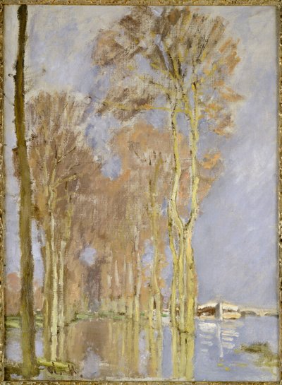 Sel basmak by Claude Monet