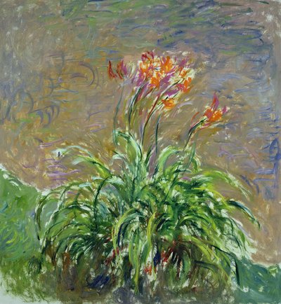 Hemerokallis, 1914-17 by Claude Monet