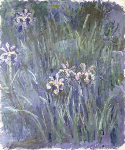 İris, c.1914-1917 by Claude Monet