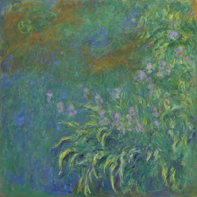 süsen by Claude Monet