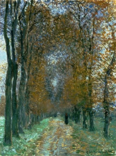 sokak by Claude Monet