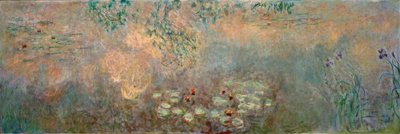 iris ile nilüfer gölet by Claude Monet