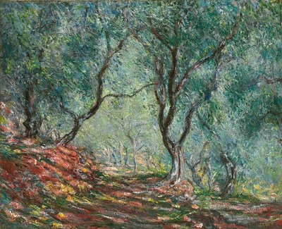 Moreno Bahçesinde Zeytin Ağaçları; Moreno bahçesindeki zeytin ağacı, 1884 by Claude Monet