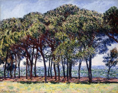Pines, Cap d"Antibes, 1888 by Claude Monet