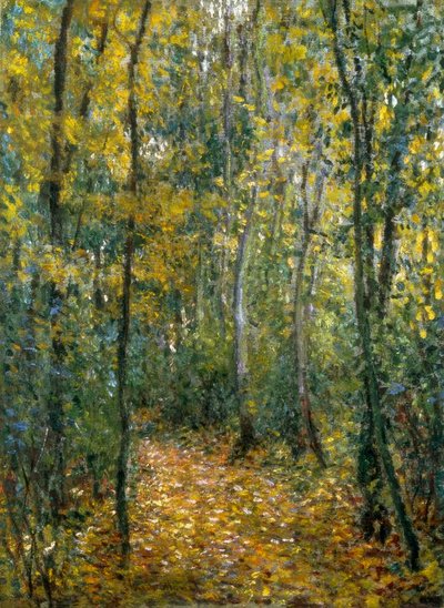 sousbois by Claude Monet