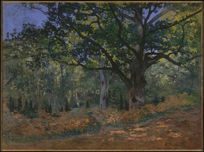 Bodmer Meşe, Fontainebleau Ormanı, 1865 by Claude Monet