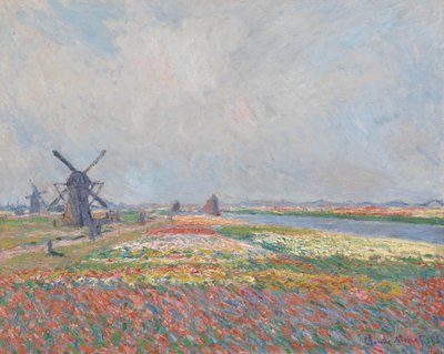 Lahey yakınlarındaki lale tarlaları. by Claude Monet