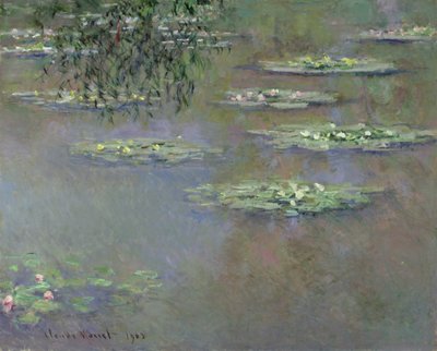 Nilüferler, 1903 by Claude Monet