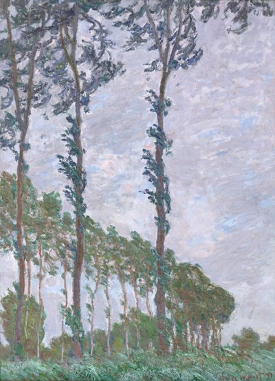 Rüzgar Etkisi, Kavak Dizisi, 1891 by Claude Monet
