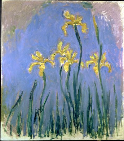 Sarı Süsenler; Les Iris Jaunes, c.1918-1925 (tuval üzerine yağlı boya) by Claude Monet