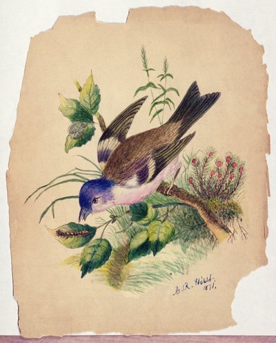  by Claude Raguet Hirst