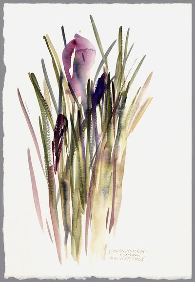 Çiğdem, 2003 (sulu boya) by Claudia Hutchins Puechavy