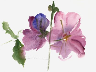 Gülhatmi, 1988 (suluboya) by Claudia Hutchins Puechavy