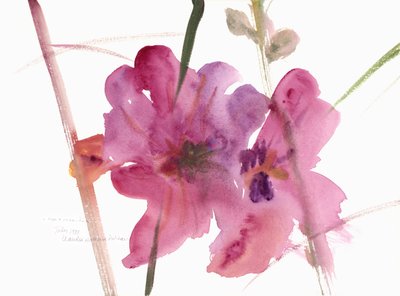 Gülhatmi, 1988 (sulu boya) by Claudia Hutchins Puechavy