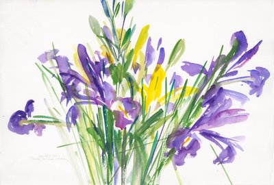 İrisler, 1999, (kağıt üzerine sulu boya) by Claudia Hutchins Puechavy