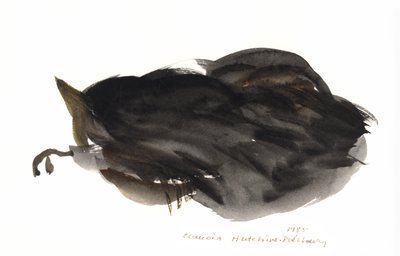 Uyuyan Kedi, 1985 (sulu boya) by Claudia Hutchins Puechavy