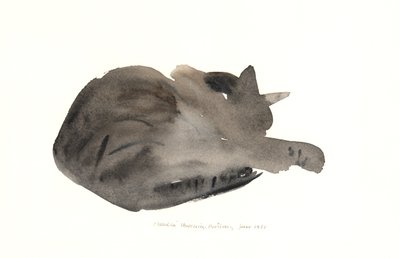 Uyuyan kedi, 1985 (sulu boya) by Claudia Hutchins Puechavy