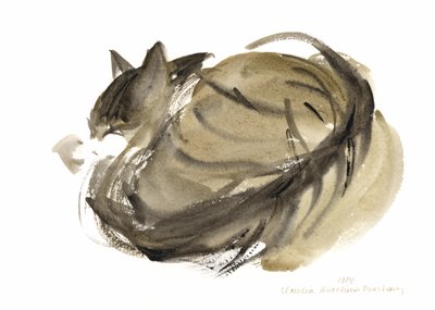 Uyuyan kedi, 1985 (sulu boya) by Claudia Hutchins Puechavy