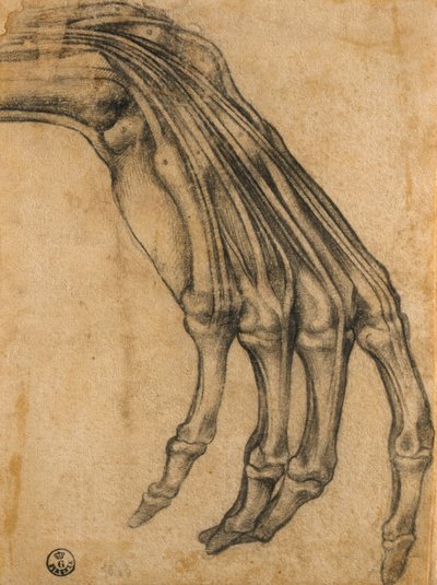 Bir Elin Anatomik Çalışması by Clemente Bandinelli