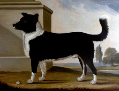 Lord Byrons Köpek Gemisi (Newfoundland), 1808 by Clifton Tomson