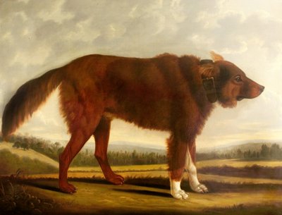 Lord Byrons Köpek Lyon (Kurt Köpeği), 1808 by Clifton Tomson