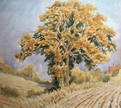 Hasat günbatımı, Kuzey Denford by Clive Wilson