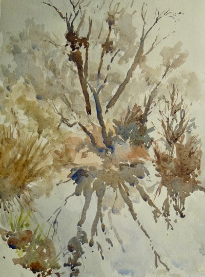 Koyun Bacağı, Eton, 2010 (suluboya) by Clive Wilson