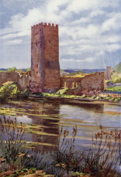Ninfa