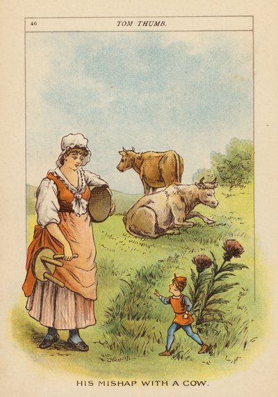  by Constance Haslewood