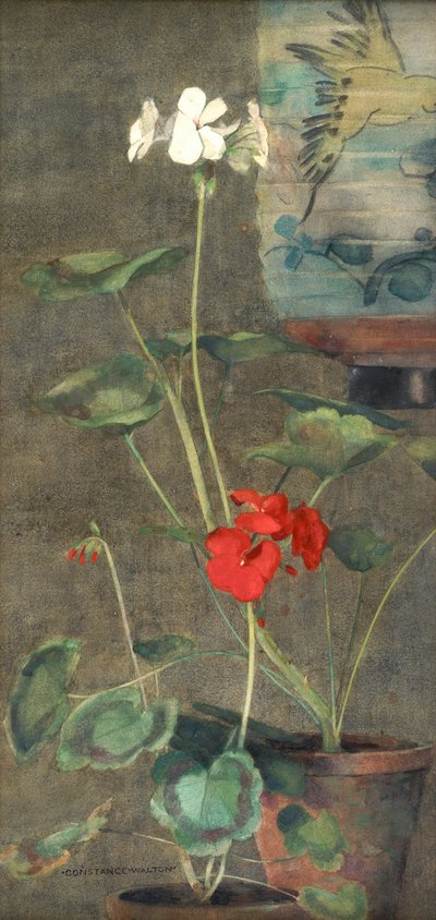 Sardunyalar ve Japon Feneri (kağıt üzerine sulu boya) by Constance Walton