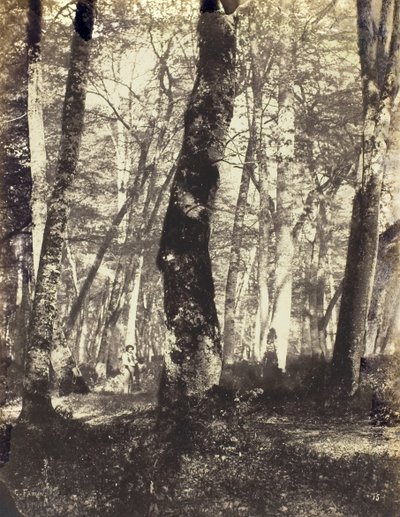 Barbizon Ormanında Çalışma, 186069. by Constant Alexandre Famin
