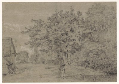 Bir çiftlikte yaşlı ağaç by Constant Troyon