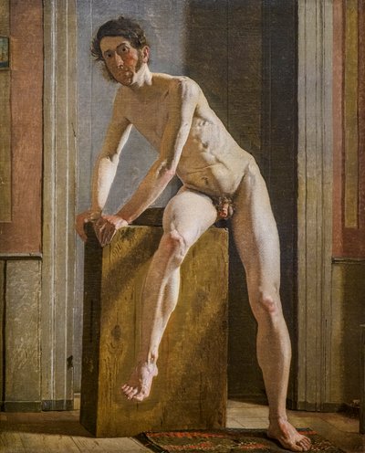 Oturan Erkek Model by Constantin Hansen