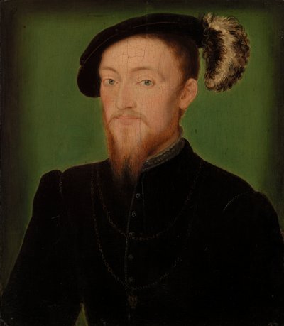 Şapkalı Tüylü Adam by Corneille de Lyon