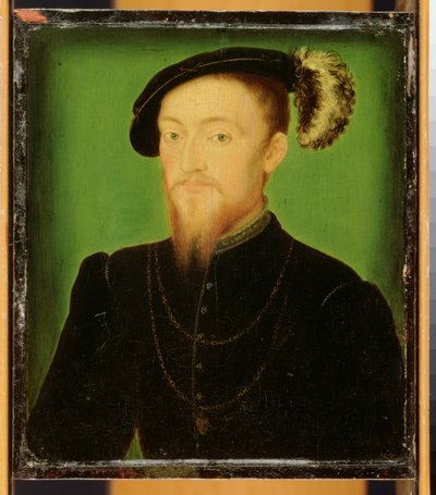 Şapkasında Tüy Olan Adam by Corneille de Lyon