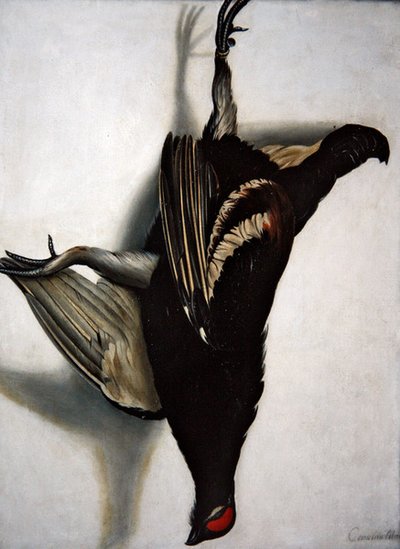 Bir Blackcock