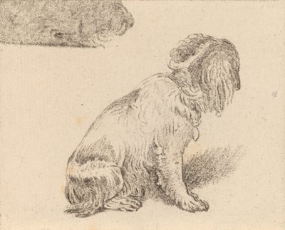 Oturan Köpek, 1777. by Cornelis Brouwer