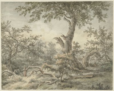 orman manzarası by Cornelis Buys