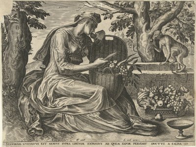 Tat (Gustus) Beş duyu (dizi adı) by Cornelis Cort